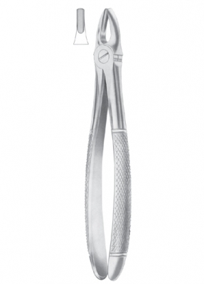 Fig.1 Upper Centrals & Canines 